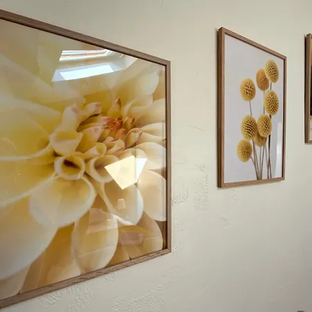 Du Milieu - 8 Personnes En Pleine Campagne Et Riviere By Primo * La Forêt-sur-Sèvre